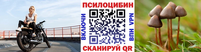маркетплейс какой сайт MEGA зеркало Карталы Псилоцибиновые грибы GOLDEN TEACHER