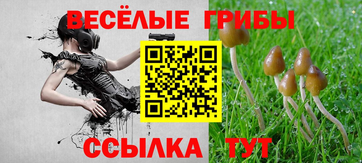 Псилоцибиновые грибы Magic Shrooms  Вход с VPN  Карталы 